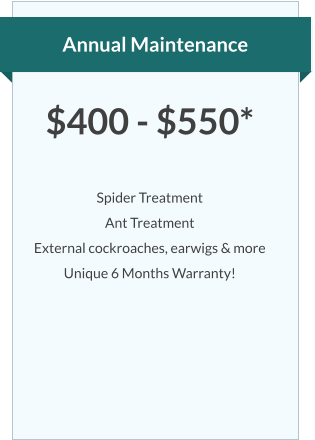 Annual Maintenance $400 - $550*  Spider Treatment Ant Treatment External cockroaches, earwigs & more Unique 6 Months Warranty!